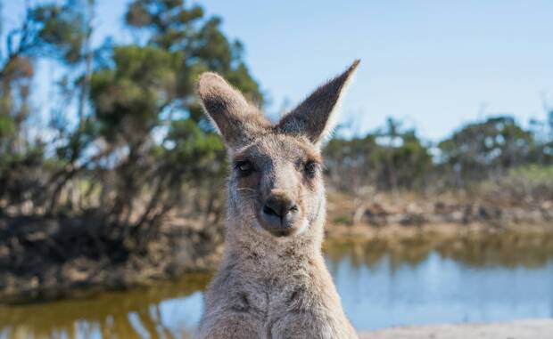 Viaggi di gruppo in Australia: le migliori mete a Sydney, Brisbane e Perth