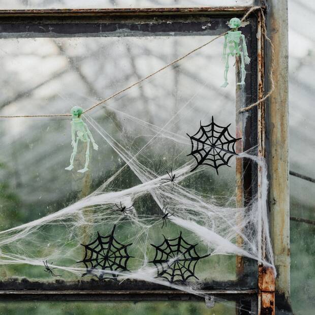 6 películas con las que pasar un Halloween terrorífico