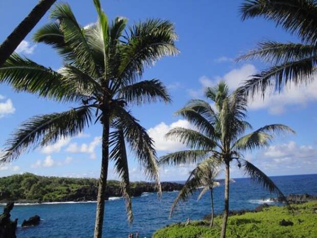 EF Erfahrungsbericht: Meine Zeit auf Hawaii, in Los Angeles und Miami