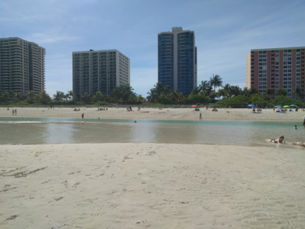 Meine unvergessliche Zeit in Miami mit EF – Erlebnisbericht
