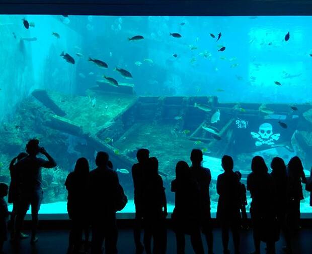 Experiencia EF: Singapur sin barreras