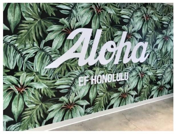 Mitt studieår i fantastiske Honolulu, Hawaii