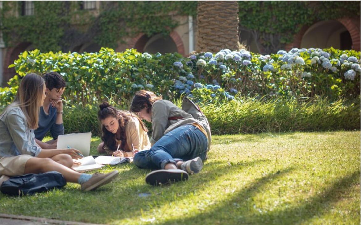 大学生の留学