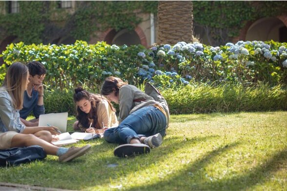 大学生の留学