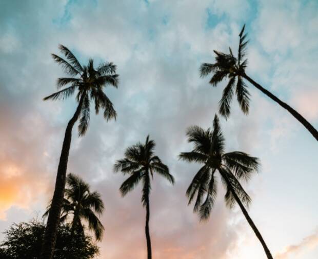 Meine Zeit auf Hawaii: Positive und negative Erfahrungen mit EF