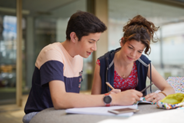The Benefits of Peer Feedback: Encouraging Collaboration in Class