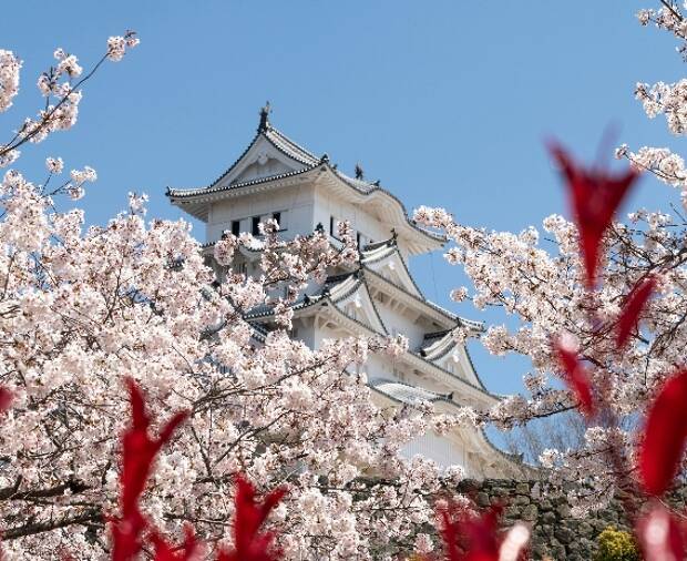 5 cosas que hacer en Tokio con poco presupuesto