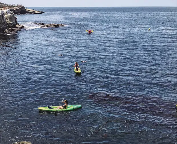 10 best things to do in and around San Diego