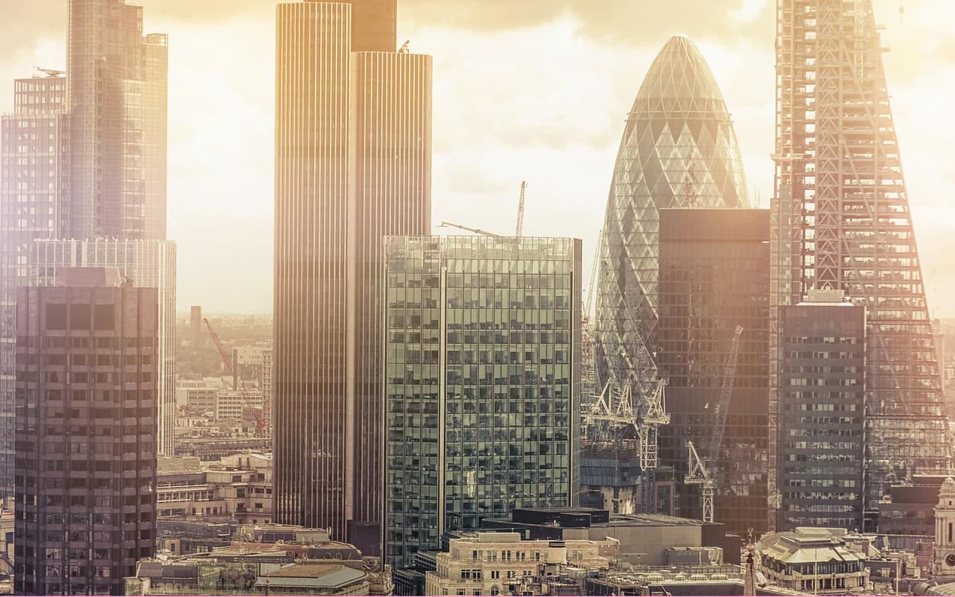A view of the London skyline featuring modern skyscrapers, including the distinctive Gherkin building, bathed in the warm light of the afternoon sun.