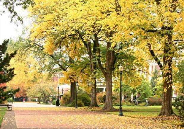 Hvordan få mest ut av å gå på Amerikansk College