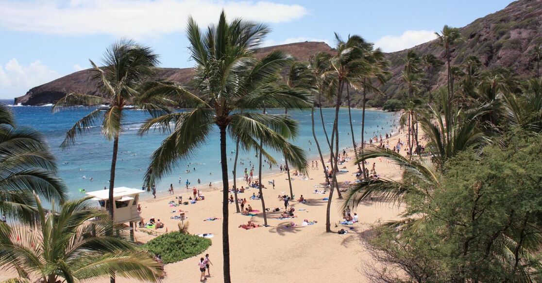A sunny day at Hanauma Bay beach in Hawaii, featuring palm trees, sand, and numerous people enjoying the ocean.