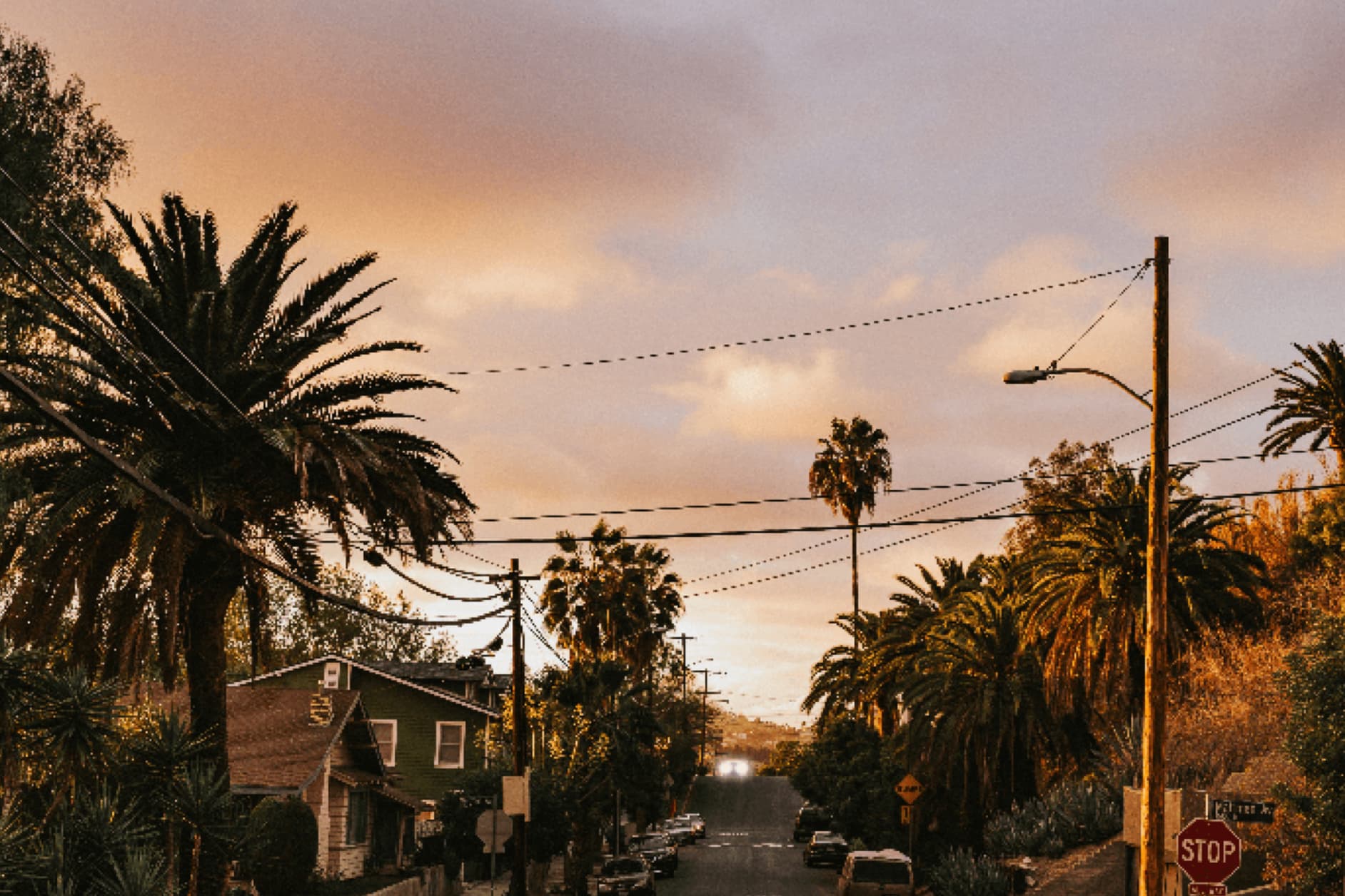 A street lined with palm trees and houses during sunset, with lights visible on the road.