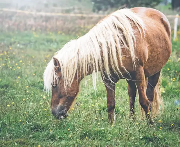 12 weird German phrases we should all be using