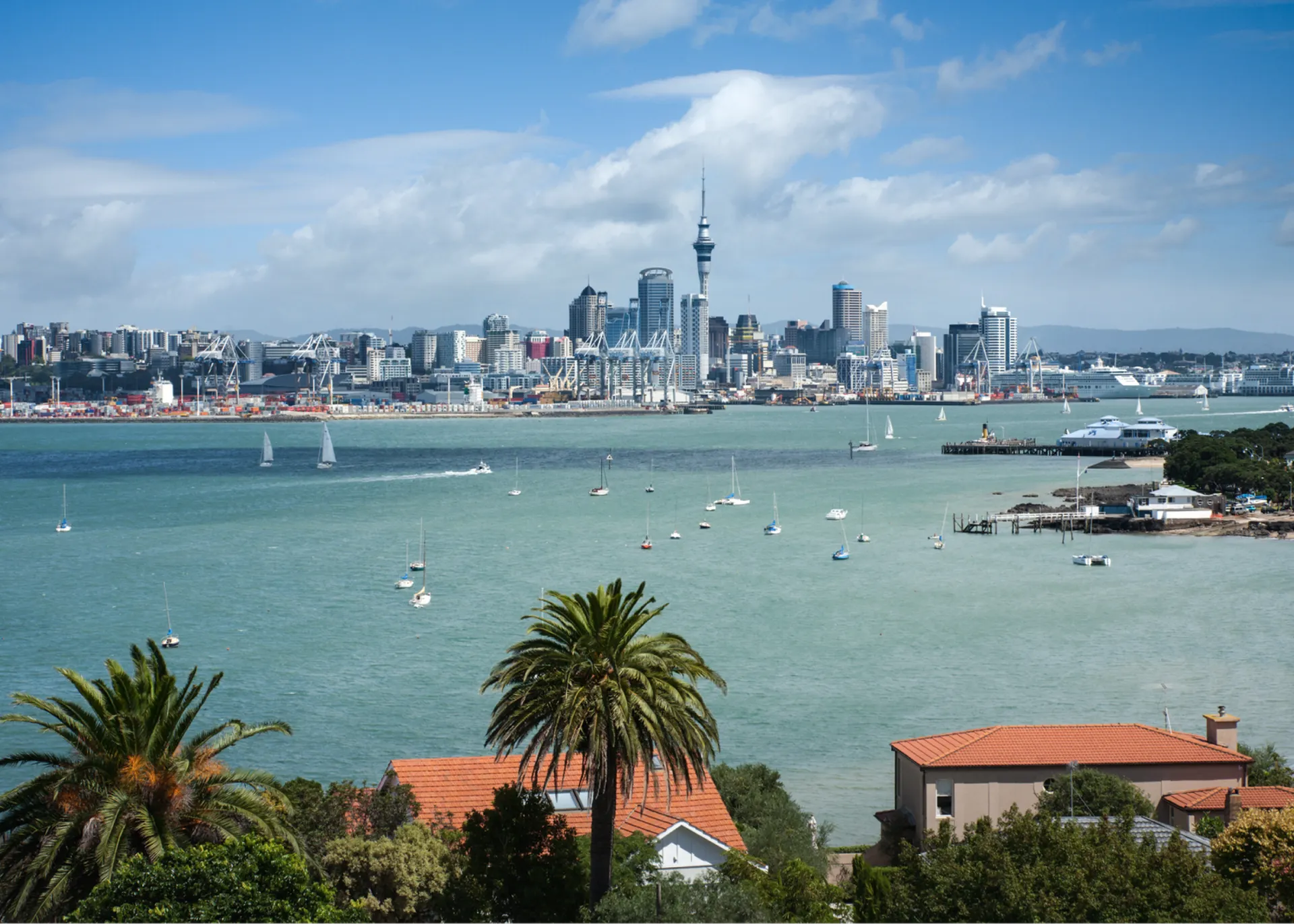 This is a scenic view of the Auckland skyline, featuring the iconic Sky Tower and numerous sailboats dotting the harbor under a partly cloudy sky.