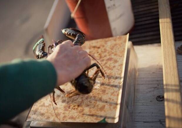 BÄSTA RESTAURANGERNA I BOSTON